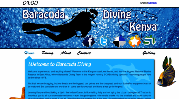 divingbaracuda.com