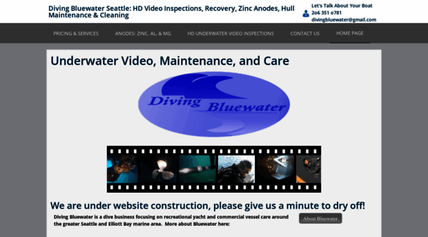 divingbluewater.com