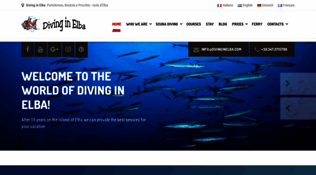 divinginelba.com