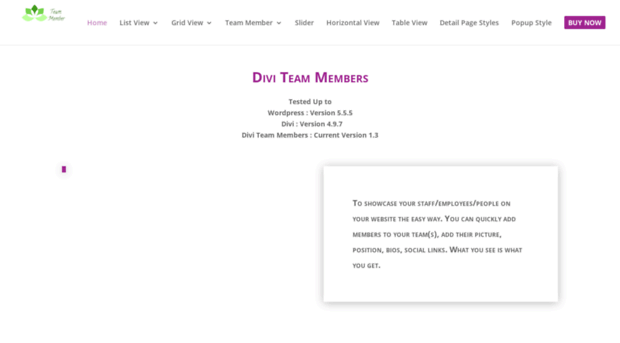 diviteamplugin.divi-professional.com