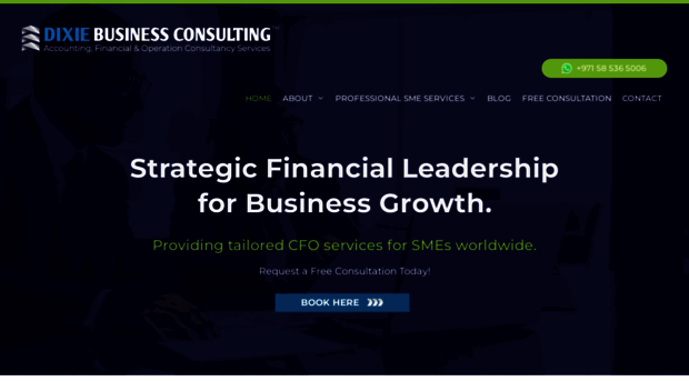 dixiebusinessconsulting.com