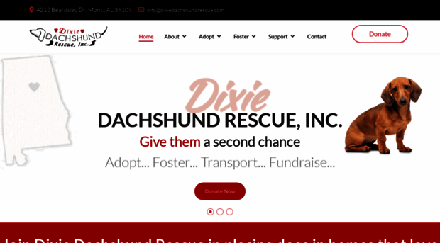 dixiedachshundrescue.com