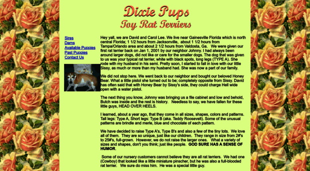 dixiepupstoyratterriers.com