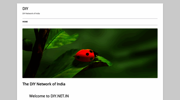 diy.net.in