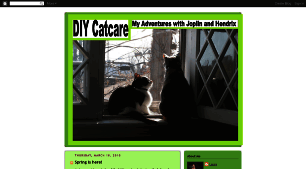 diycatcare.blogspot.com