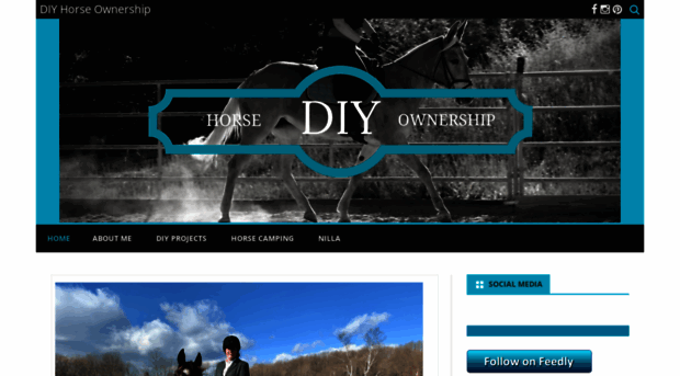 diyhorseownership.com