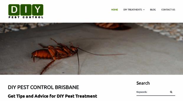 diypestcontrolbrisbane.com