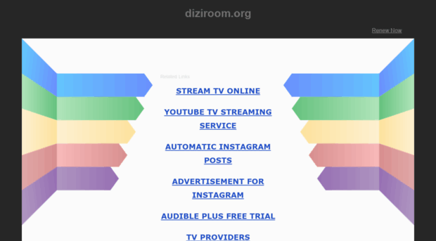 diziroom.org