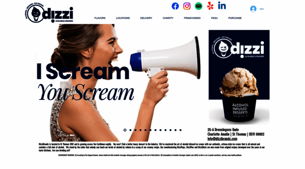 dizzibrands.com