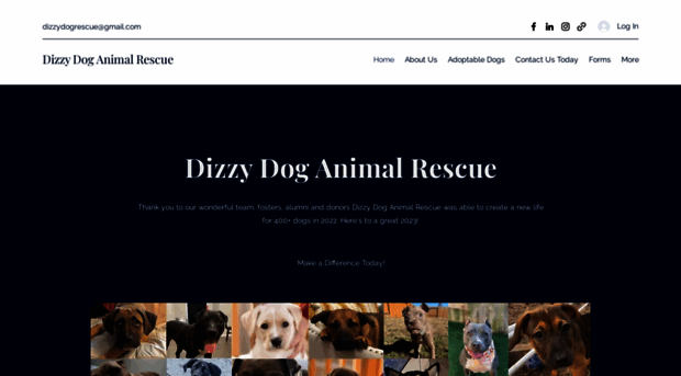 dizzydoganimalrescue.org