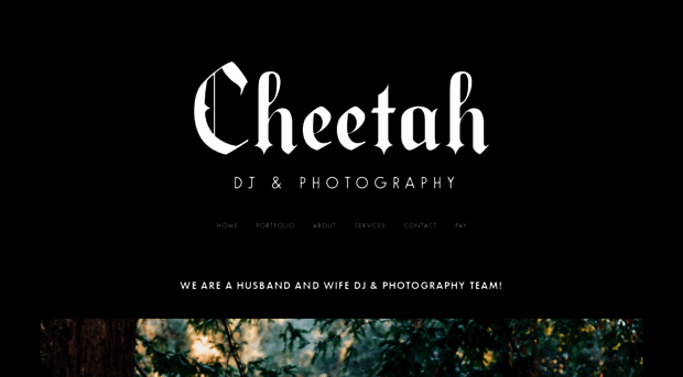 djcheetah.com