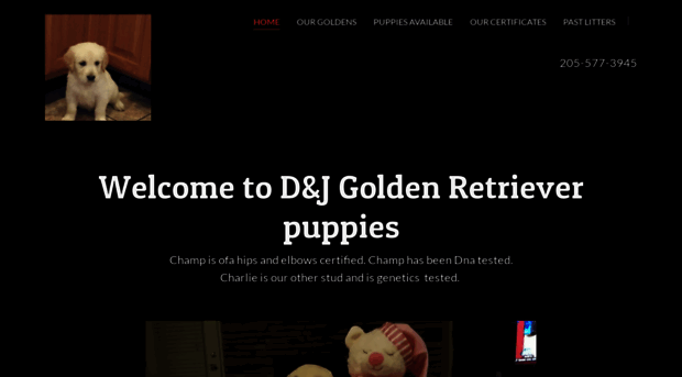 djgoldenretrieverpuppies.com