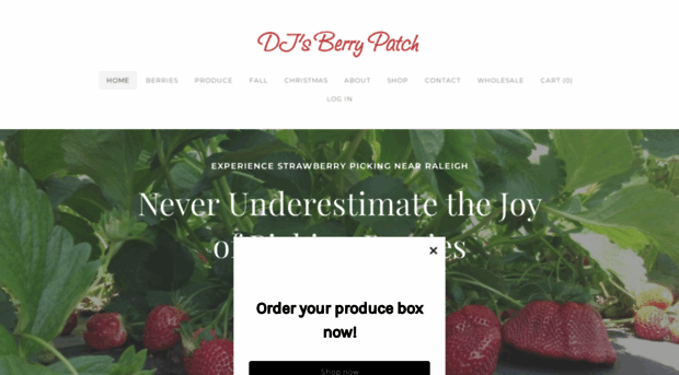 djsberrypatch.com