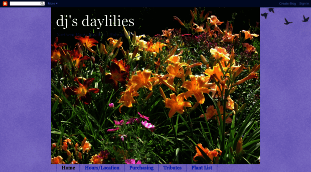 djsdaylilies.com