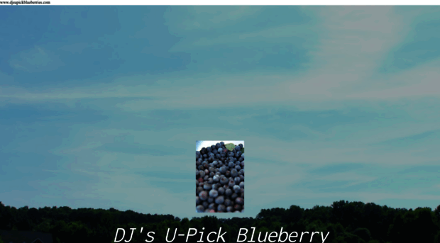 djsupickblueberries.com