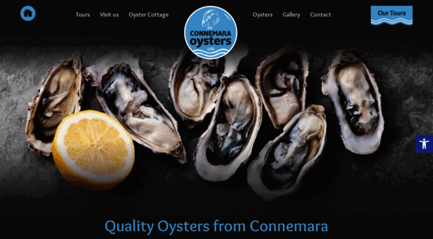 dkconnemaraoysters.com