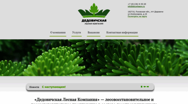 dlcompany.ru