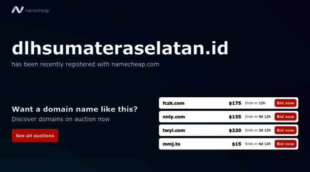dlhsumateraselatan.id