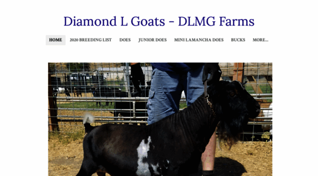 dlmgfarms.com