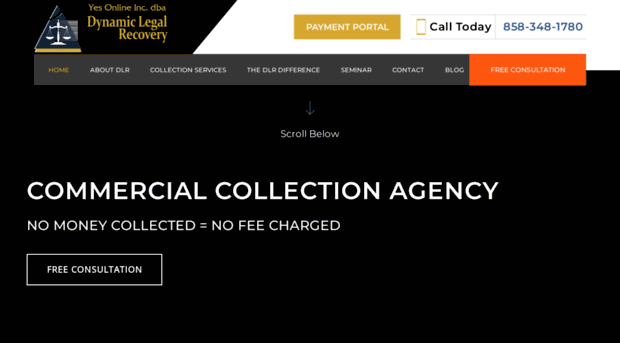 dlrcollectionagency.com