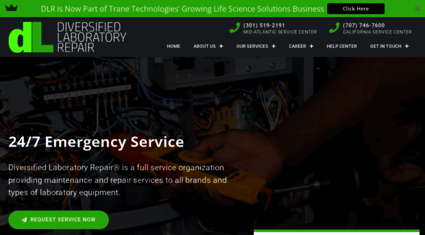 dlrepair.com