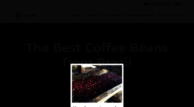 dlvcoffee.com