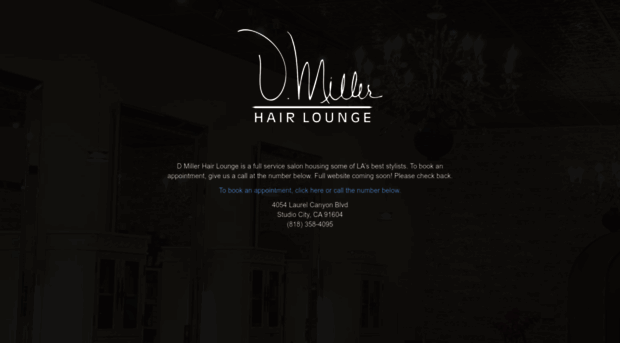 dmillerhairlounge.com