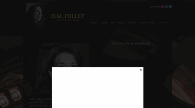 dmpulley.com