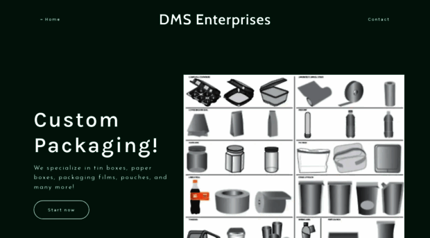 dmsenterprises.com