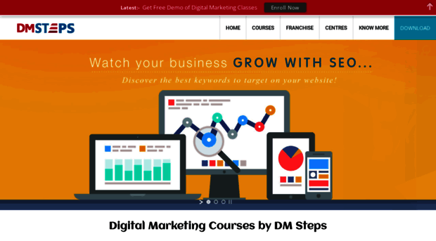 dmsteps.com