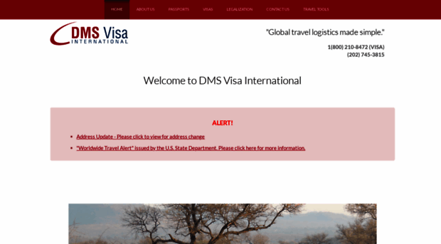 dmsvisainternational.com