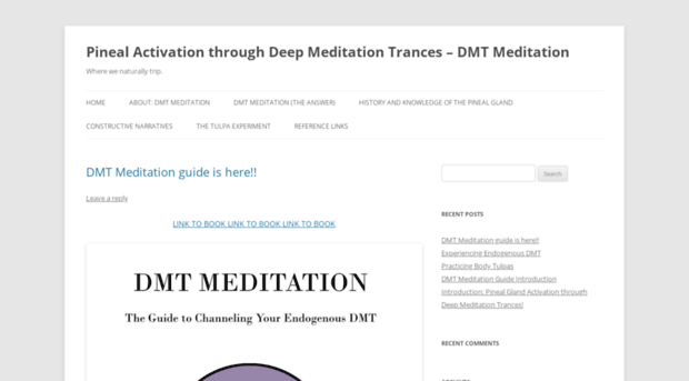 dmtmeditation.wordpress.com