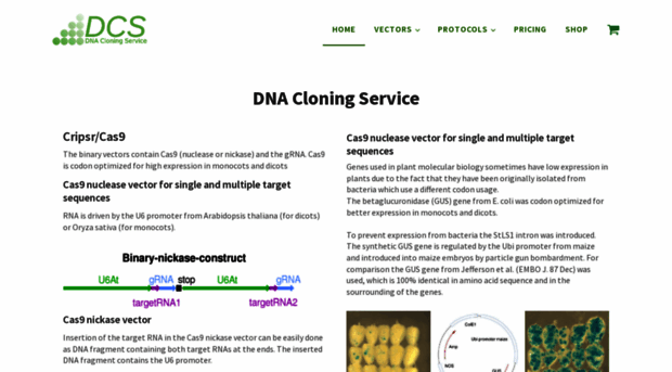 dna-cloning.com