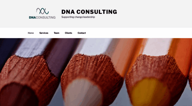 dna-consulting.co.za