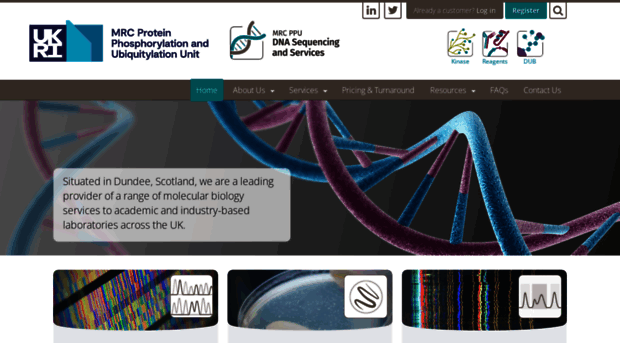 dnaseq.co.uk