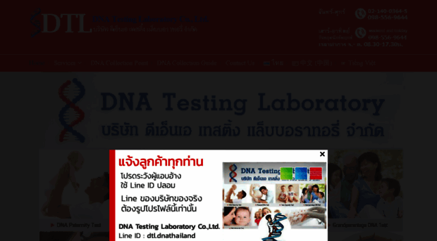 dnathailand.com