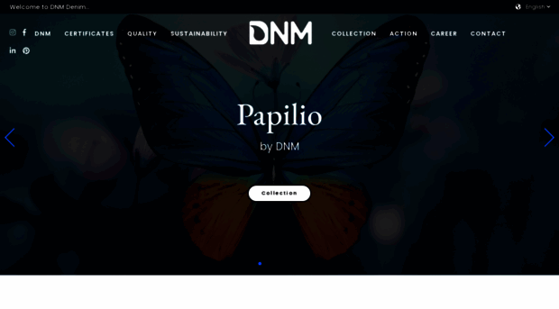 dnmdenim.com