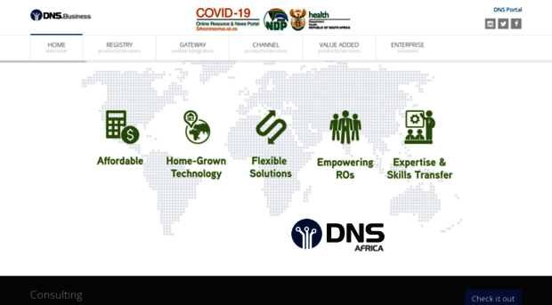 dns.business