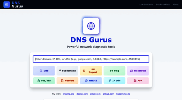 dnsgurus.com