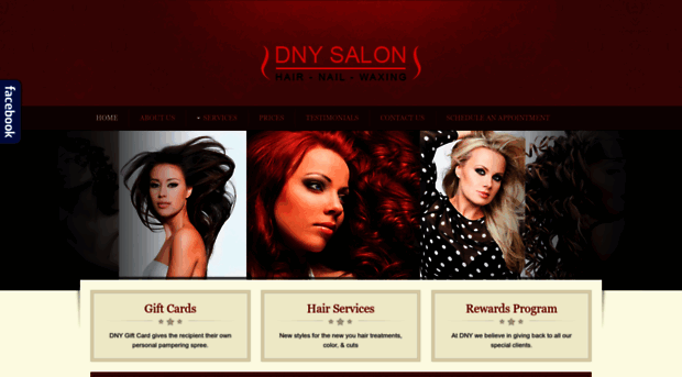 dnysalon.com