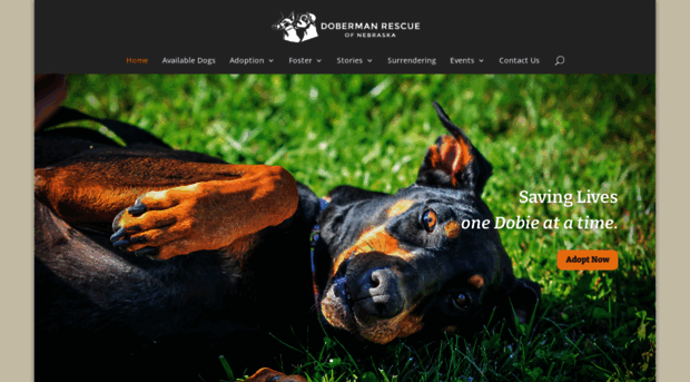 doberescue-ne.org