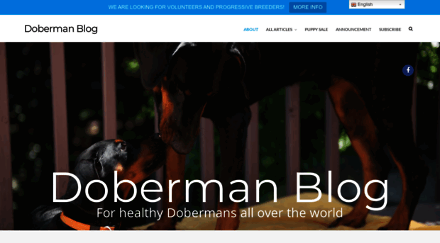 dobermanblog.com