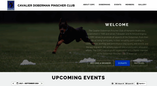 dobermanclub.org