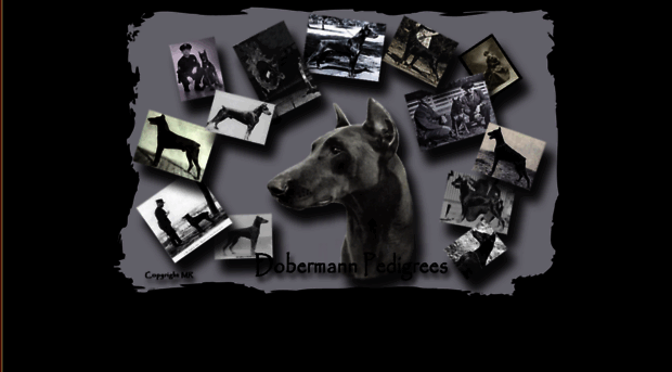 dobermann-pedigrees.com