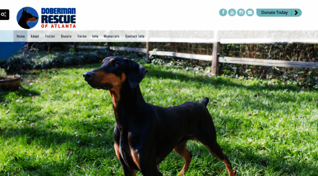 dobermanrescueatlanta.com