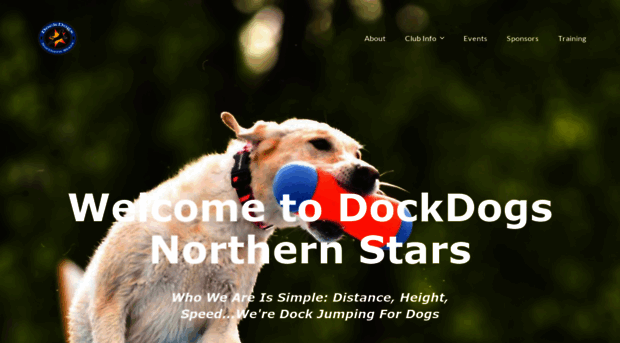 dockdogsnorthernstars.com