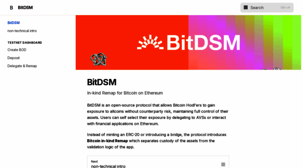 docs.bitdsm.org