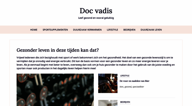 docvadis.nl