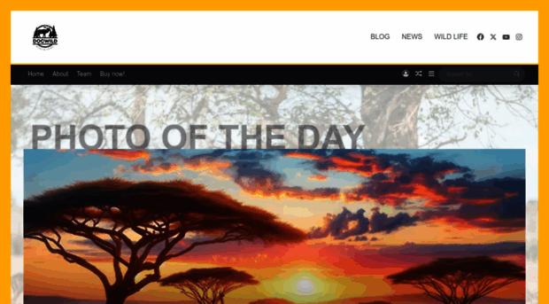 docwild.net