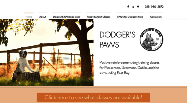 dodgerspaws.com